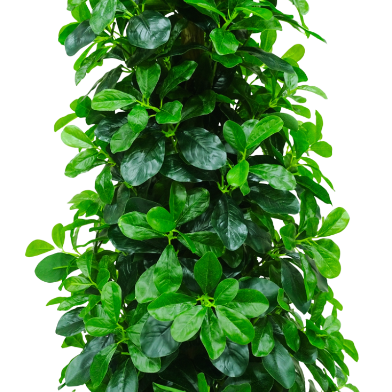 019-145-1-firstgreen.by‑iskusstvennyy‑ficus‑microcarpa‑145.jpg