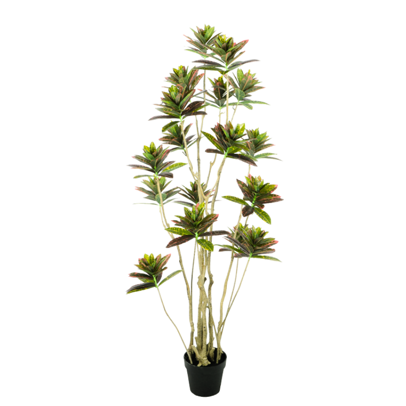 042-150-iskusstvennyy-kroton-kodieum-150см-firstgreen.by.png