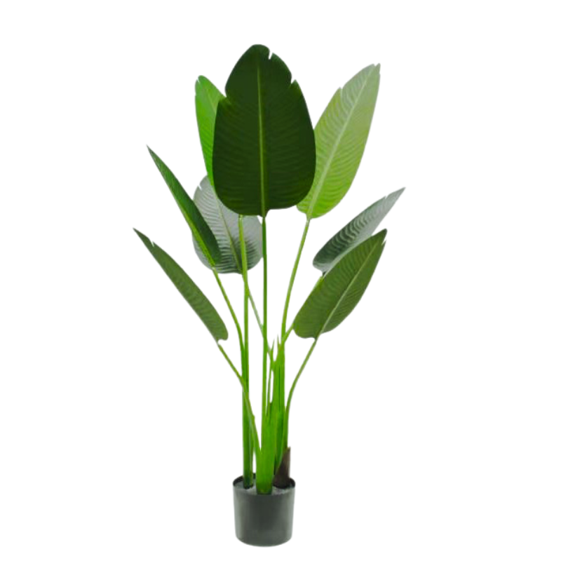 050-110-iskusstvennaya-bananovaya-palma-110см-firstgreen.by.png