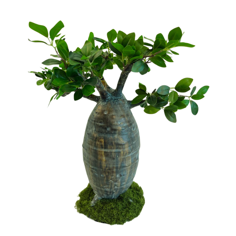 058-050-2-iskusstvennyy-bonsay-baobab-s-mkhom-50-sm-firstgreen.by.jpg