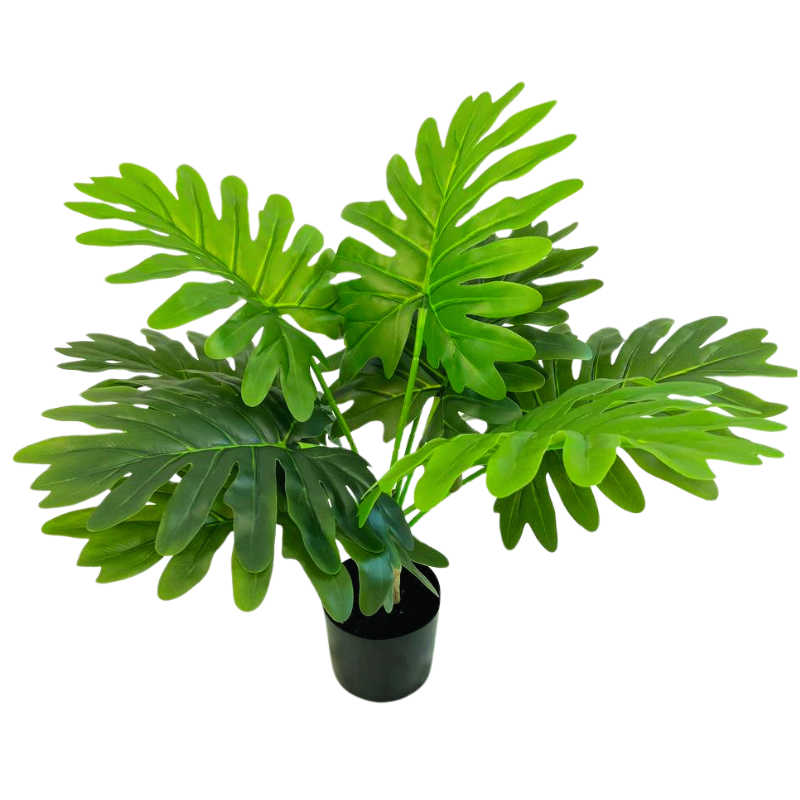 060-060-1-iskusstvennyy-filodendron-dvoyakoperistyy-60-sm-firstgreen.by.jpg