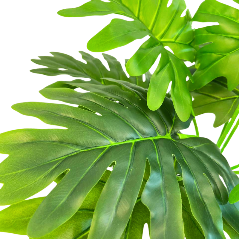 060-060-2-iskusstvennyy-filodendron-dvoyakoperistyy-60-sm-firstgreen.by.jpg