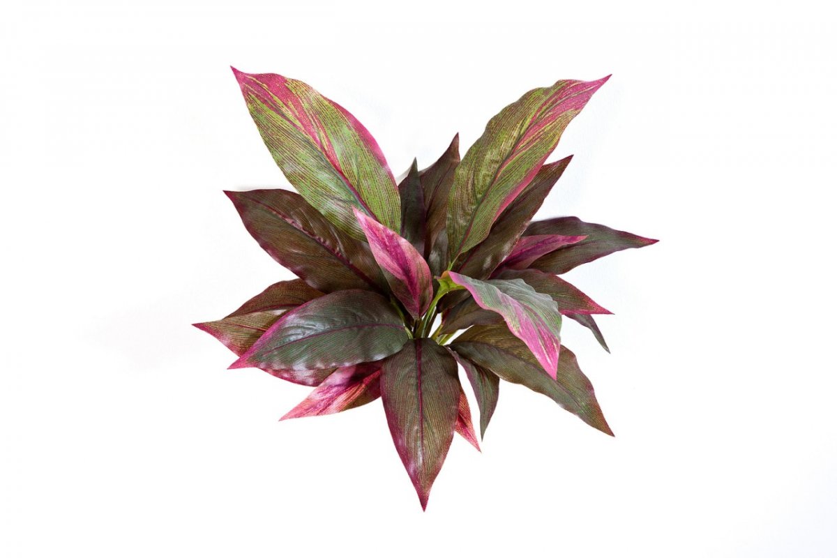 1080R_kordilina-miks-30cm-iskusstvennoe-rastenie-firstgreen.jpg