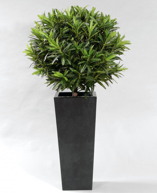 1088-100-croton-goldfinger-ball-100cm-firstgreen-by.jpg