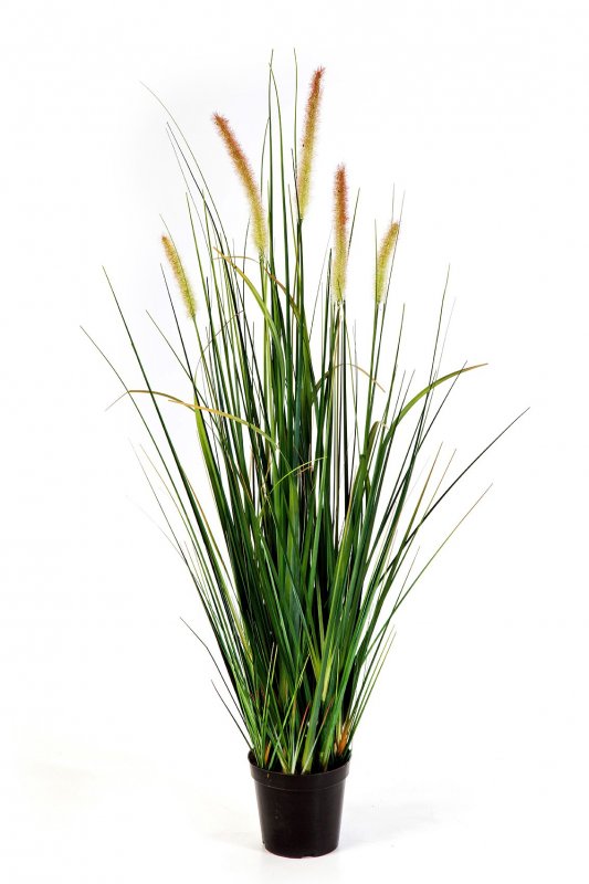 1103N-lisohvost-iskusstvennaya-trava-60-175cm-dekor-firstgreen-by.jpg