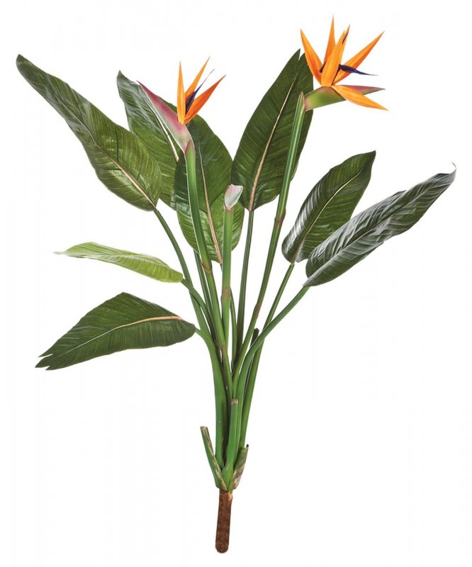 1110N-strelicia-kust-s-cvetami-100cm-iskusstvennoe-rastenie-firstgreen.jpg