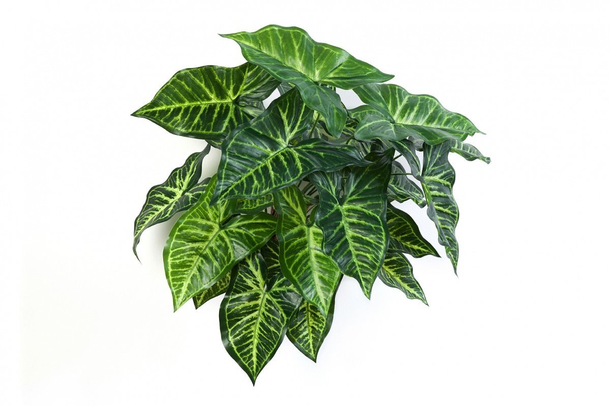 1113N-filodendron-kust-45sm-iskusstvennoe-rastenie-firstgreen.jpg