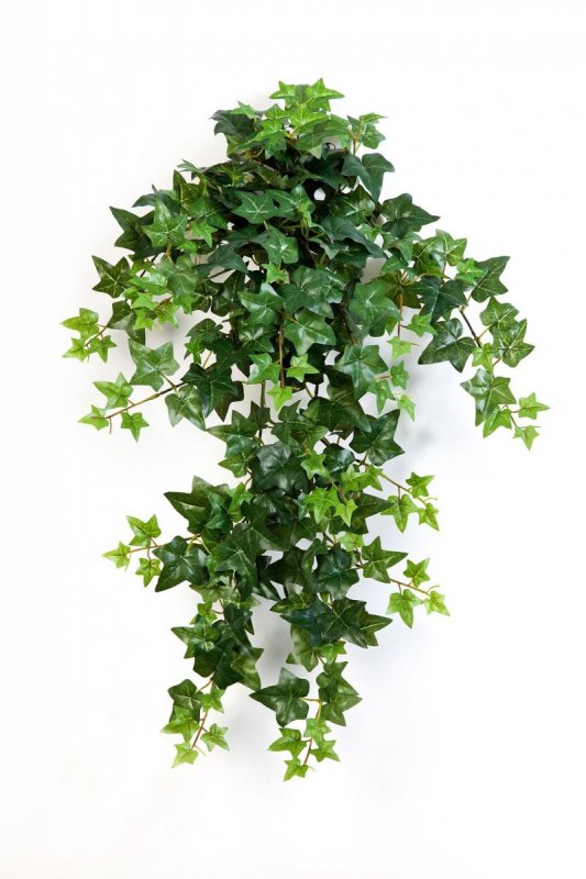 1135N-plyush-ampelnyy-zelenyy-70-110sm-firstgreen-treez.jpg