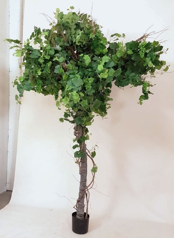 1136-260-vinograd-260cm-firstgreen-by.jpg
