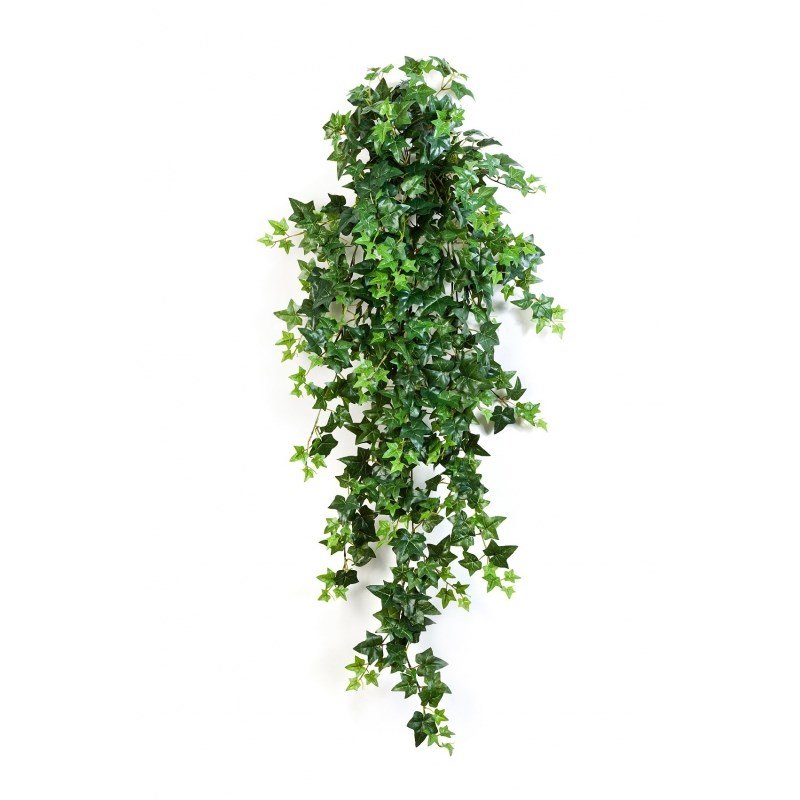 1137N-plyush-ampelnyy-zelenyy-70-110sm-firstgreen-treez.jpg