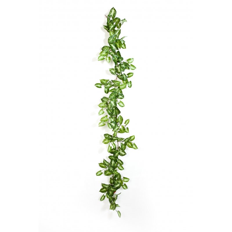1141N-nephthytis-garland-180cm-firstgreen-by.jpg