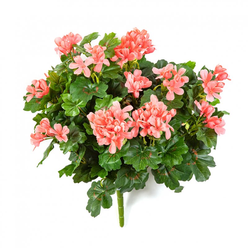 1150P-geranium-cascade-bush-35cm-firstgreen-by.jpg