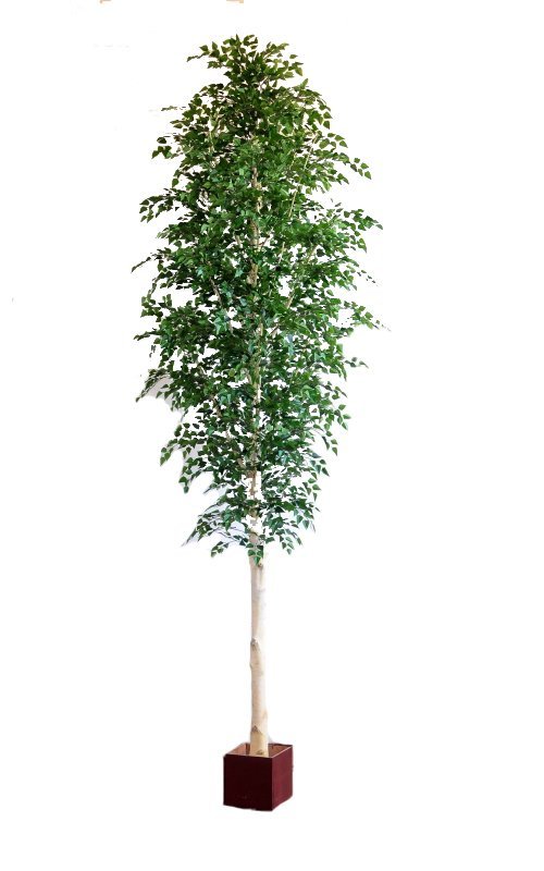1155-470-bereza-470-sm-iskusstvennoe-derevo-firstgreen-by.jpg
