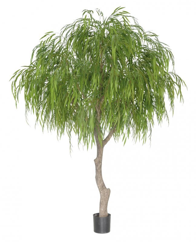 1209-270-willow-tree-270-350cm-firstgreen-by.jpg