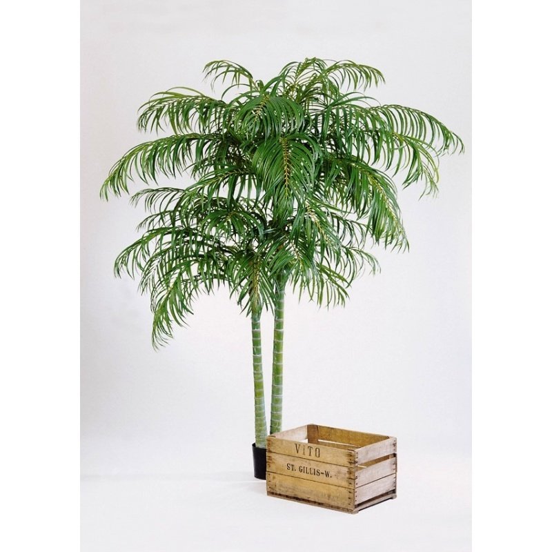 1336N-areca-deluxe-double-210-240cm-firstgreen-by.jpg