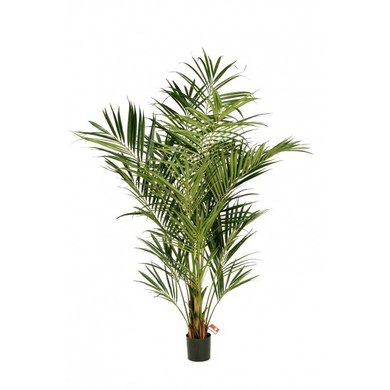 1344XL-palma-kentia-de-luxe-140-260sm-iskusstvennoe-rastenie-firstgreen.jpg