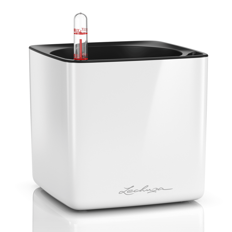 lechuza-cube-glossy-16-firstgreen.by.jpg