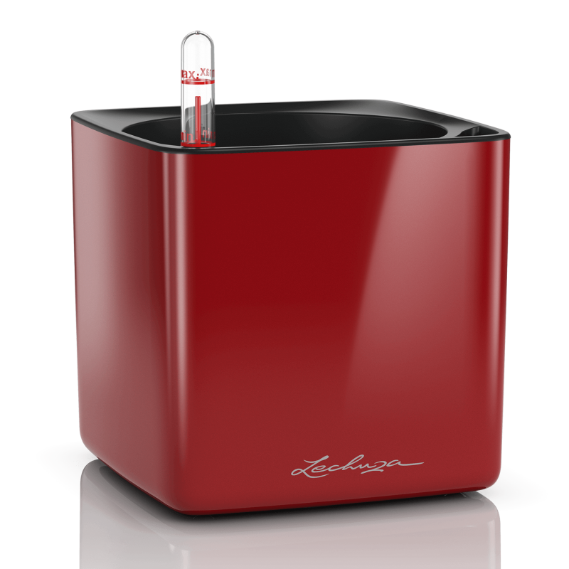 lechuza-cube-glossy-16-firstgreen.by.jpg