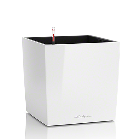 lechuza-cube-premium-50-firstgreen.by.jpg