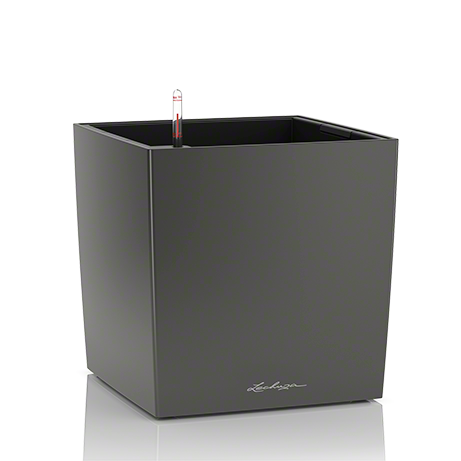 lechuza-cube-premium-50-firstgreen.by.jpg