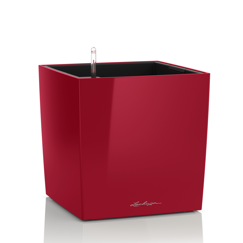 lechuza-cube-premium-50-firstgreen.by.jpg