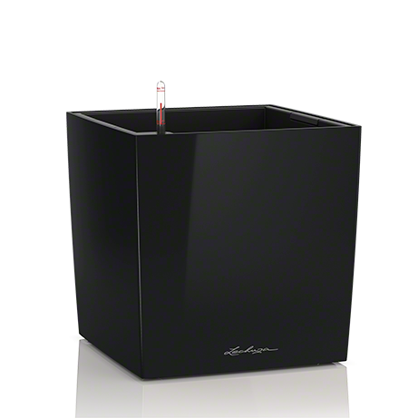 lechuza-cube-premium-50-firstgreen.by.jpg