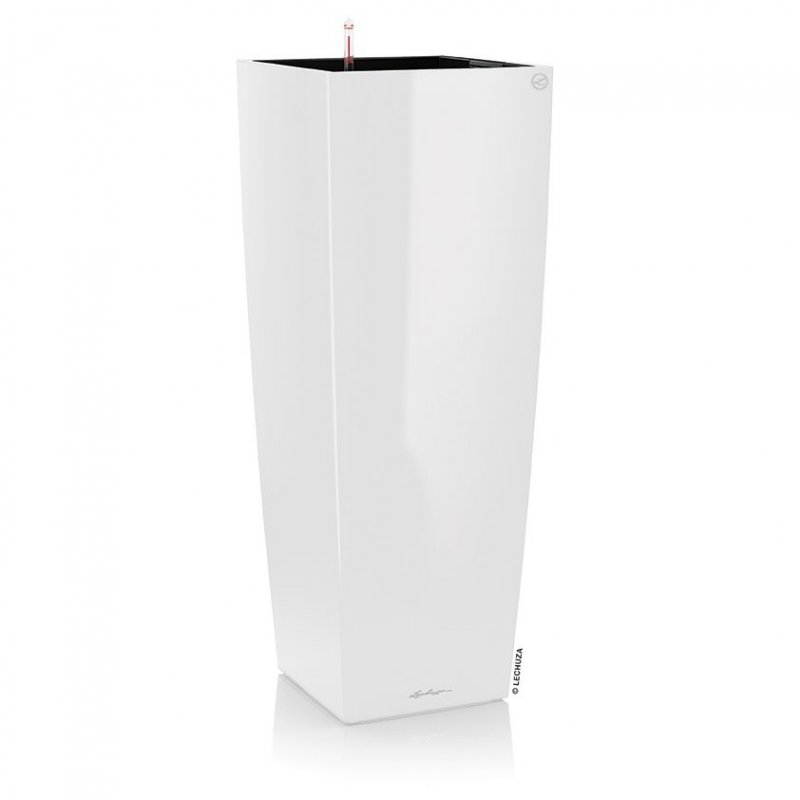 firstgreen.by-cubico-alto-premium-40