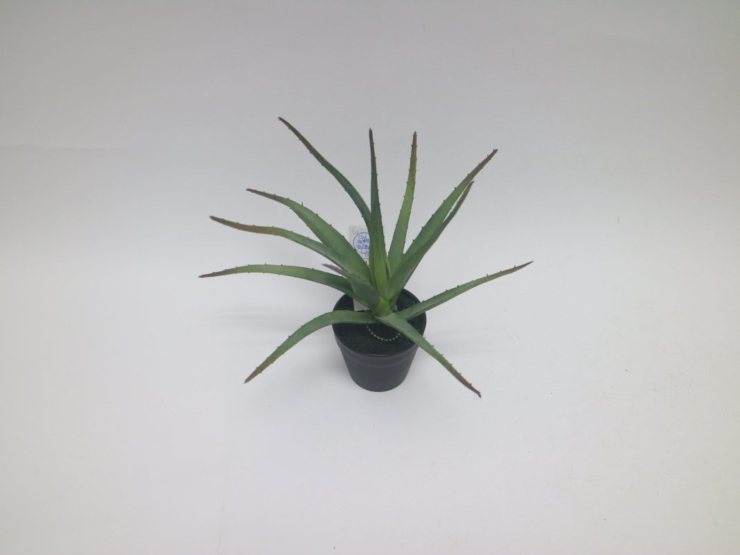 2367_aloe-30cm-iskusstvennoe-rastenie-firstgreen.jpg
