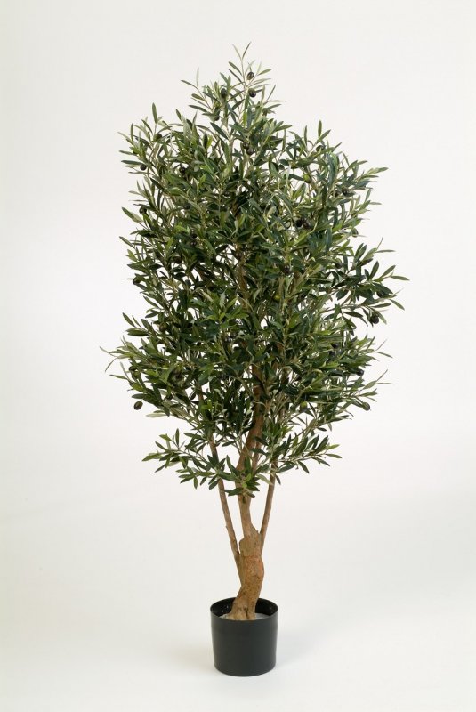 28205N-iskusstvennaya-oliva-twist-s-plodami-120-180-sm-treez-firstgreen.by.jpg
