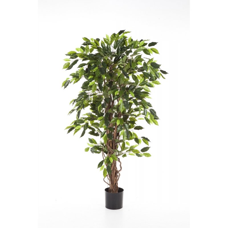 30505-Nficus-liana-green-120-210cm-firstgreen-by.jpg