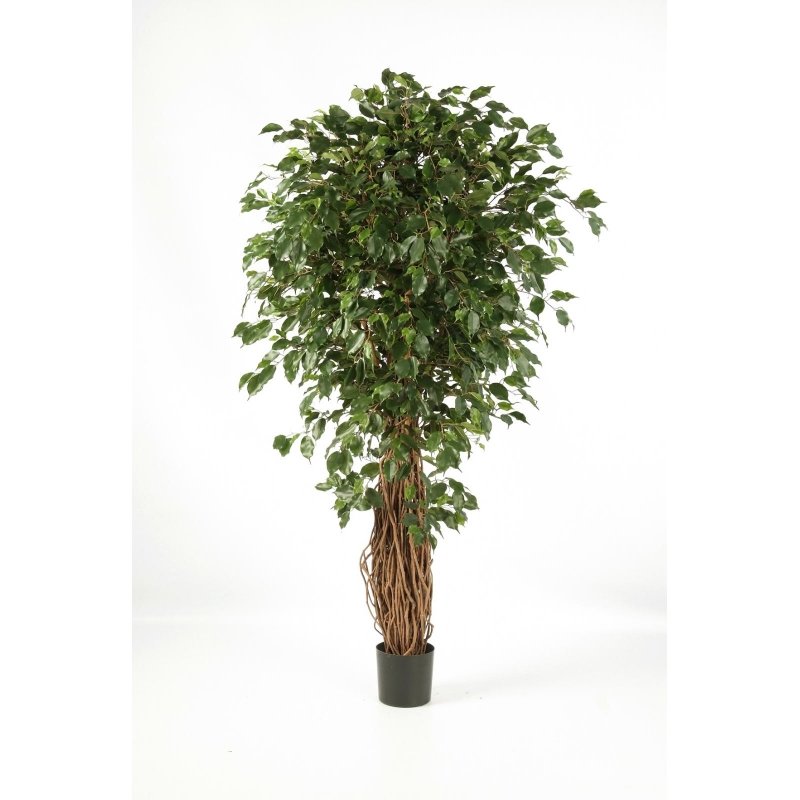 30807N-fikus-benjamina-liana-deluxe-120-270cm-iskusstvennyy-firstgreen-by.jpg