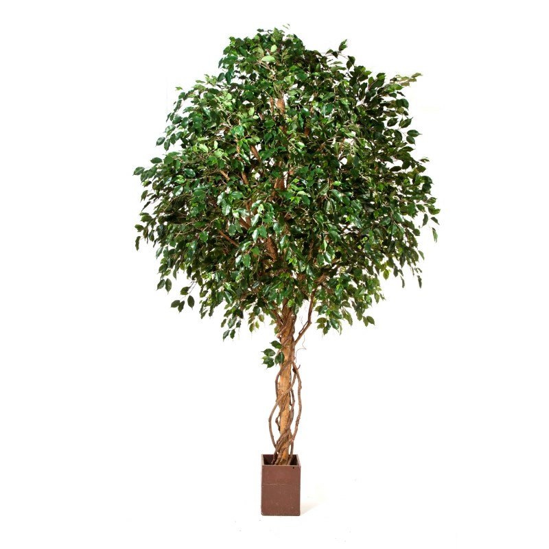 31210N-fikus-ekzotika-gigantskiy-300-360cm-iskusstvennyy-firstgreen-by.jpg