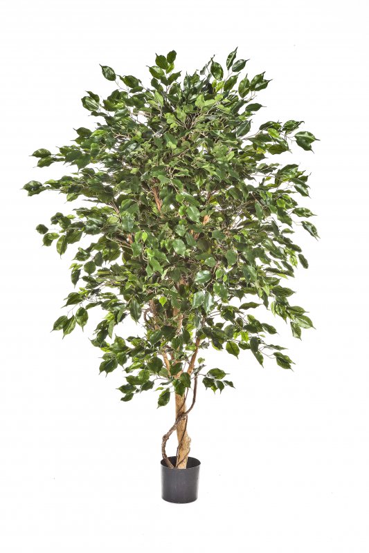31806N-fikus-benjamina-deluxe-150-210cm-iskusstvennyy-firstgreen-by.jpg