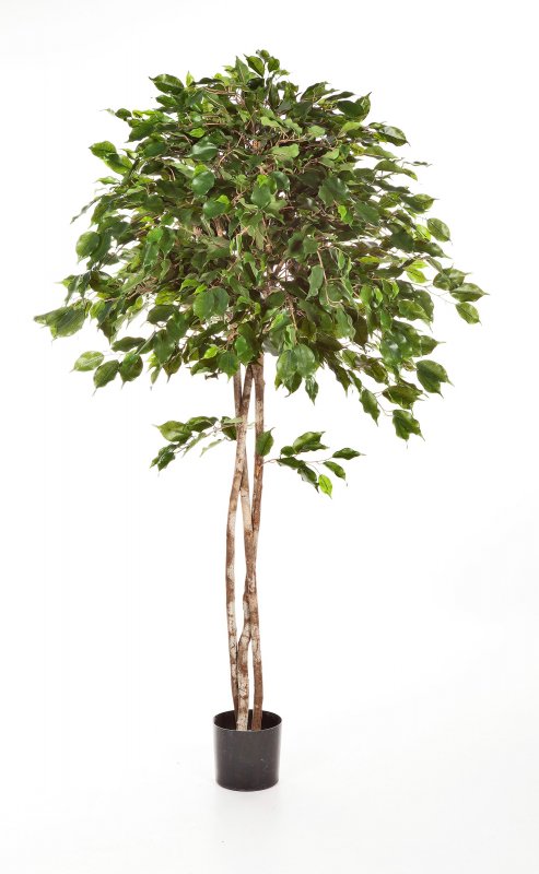 32606N-fikus-benjamina-ambrella-150-210cm-iskusstvennyy-firstgreen-by.jpg