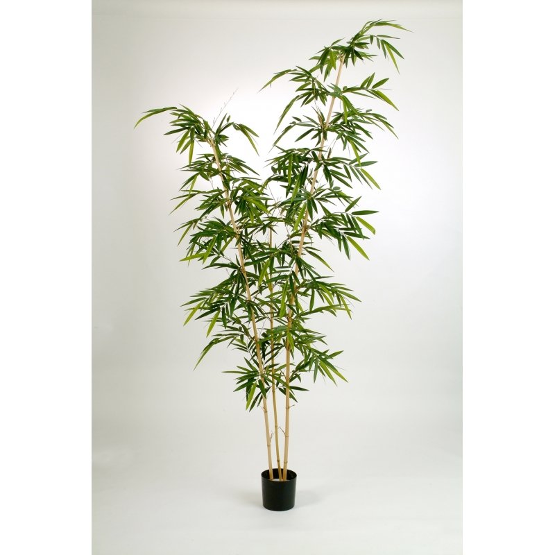 34909N-bambuk-elegant-260cm-iskusstvennoe-derevo-firstgreen-by.jpg