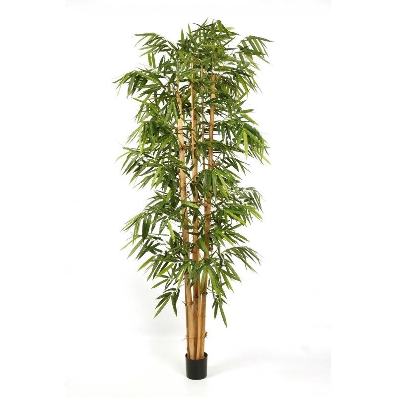 35408-bambuk-big-leaf-giantskiy-240-300cm-iskusstvennoe-derevo-firstgreen-by.jpg