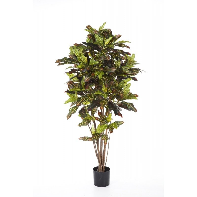 37605N-croton-120-150-180cm-firstgreen-by.jpg