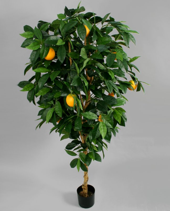 40-170-apelsin-170sm-iskusstvennoe-derevo-treez-firstgreen.jpg