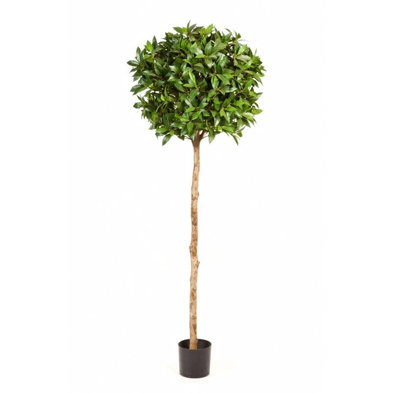 41004N-laurel-standard-ball-140-170cm-firstgreen-by.jpg