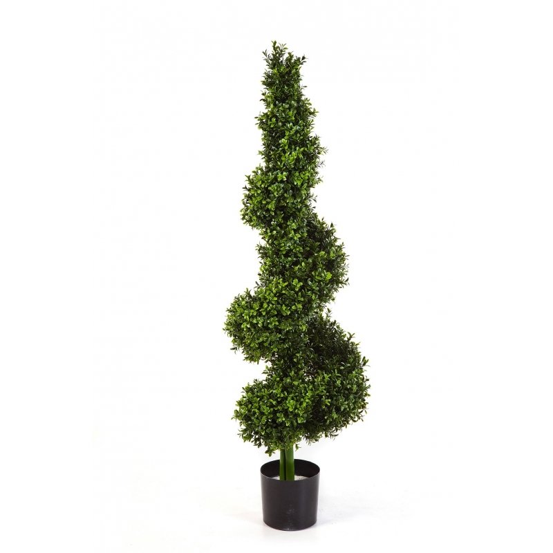 45205N-samshit-spiral-135sm-topiari-treez-firstgreen.jpg