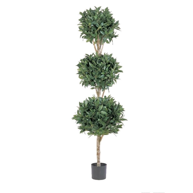 50806N-laurel-topiary-3balls-180cm-firstgreen-by.jpg