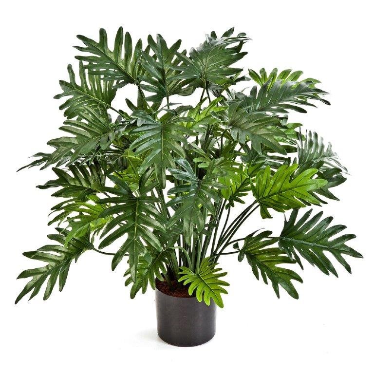 51102N-iskusstvennyy-filodendron-sellum-75-100-sm-treez-firstgreen.by.jpg