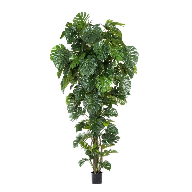 51809N-monstera-tropical-support-280cm-firstgreen-by.jpg