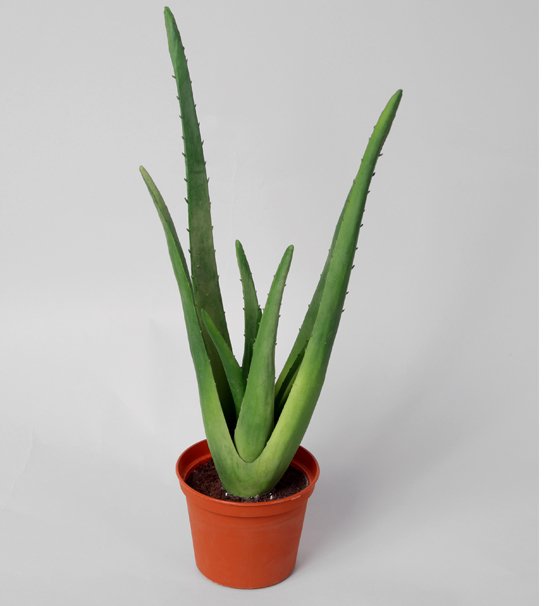 5604_aloe-iskusstvennoe-45cm-rastenie-treez-collection-firstgreen.jpg