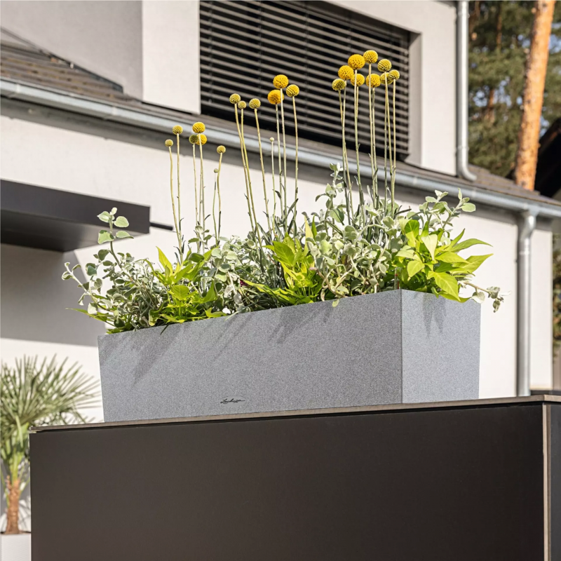 firstgreen.by_lechuza-balconera-stone-100.jpg