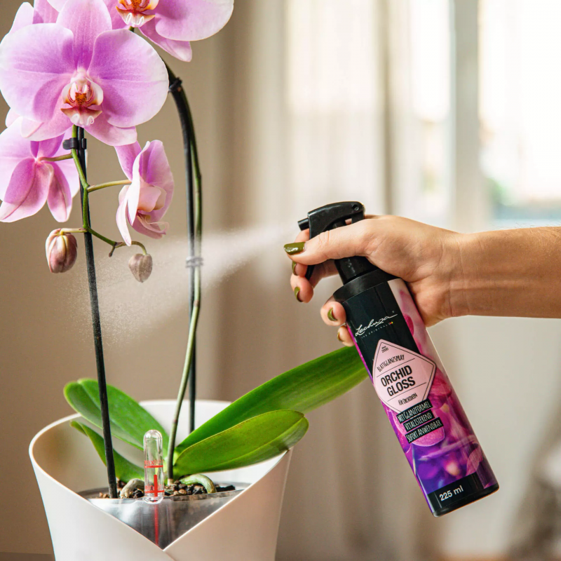 firstgreen.by-lechuza-orchid-gloss-225ml.jpg