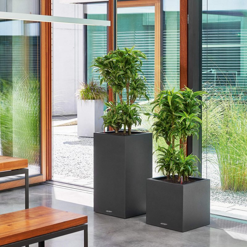 firstgreen.by-canto-stone-40-low.jpg