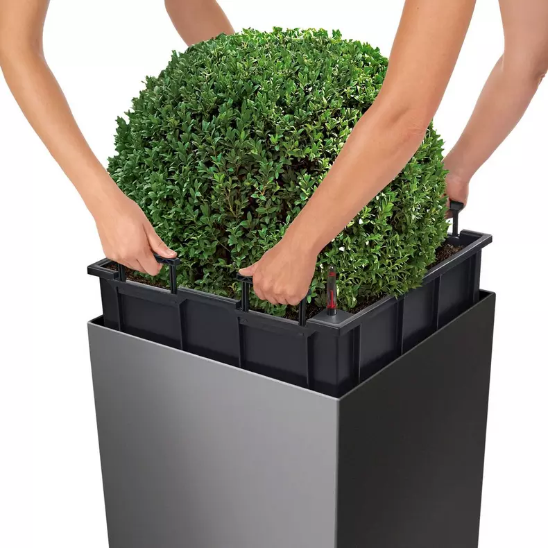 lechuza-cube-premium-50-firstgreen.by.jpg