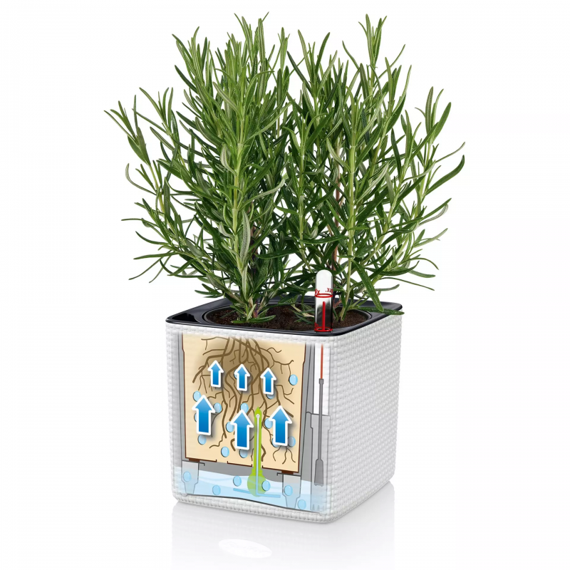 lechuza-cube-color-14-firstgreen.by.jpg