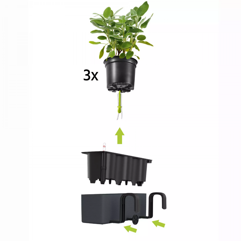 lechuza-cube-color-triple-firstgreen.by.jpg